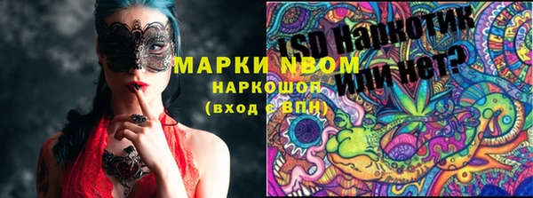 мдпв Алексин
